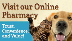 Online Pharmacy Button