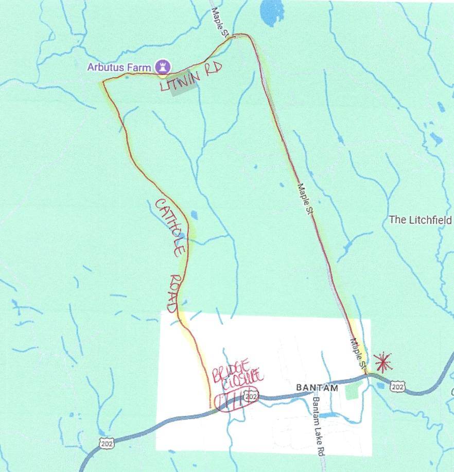 Detour Option 1 