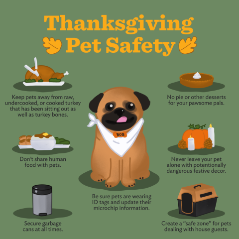 Thanksgiving Pet Safety